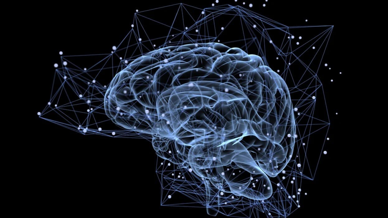 A translucent, illuminated 3D rendering of a human brain surrounded by a network of connected points, representing research and cognitive science.