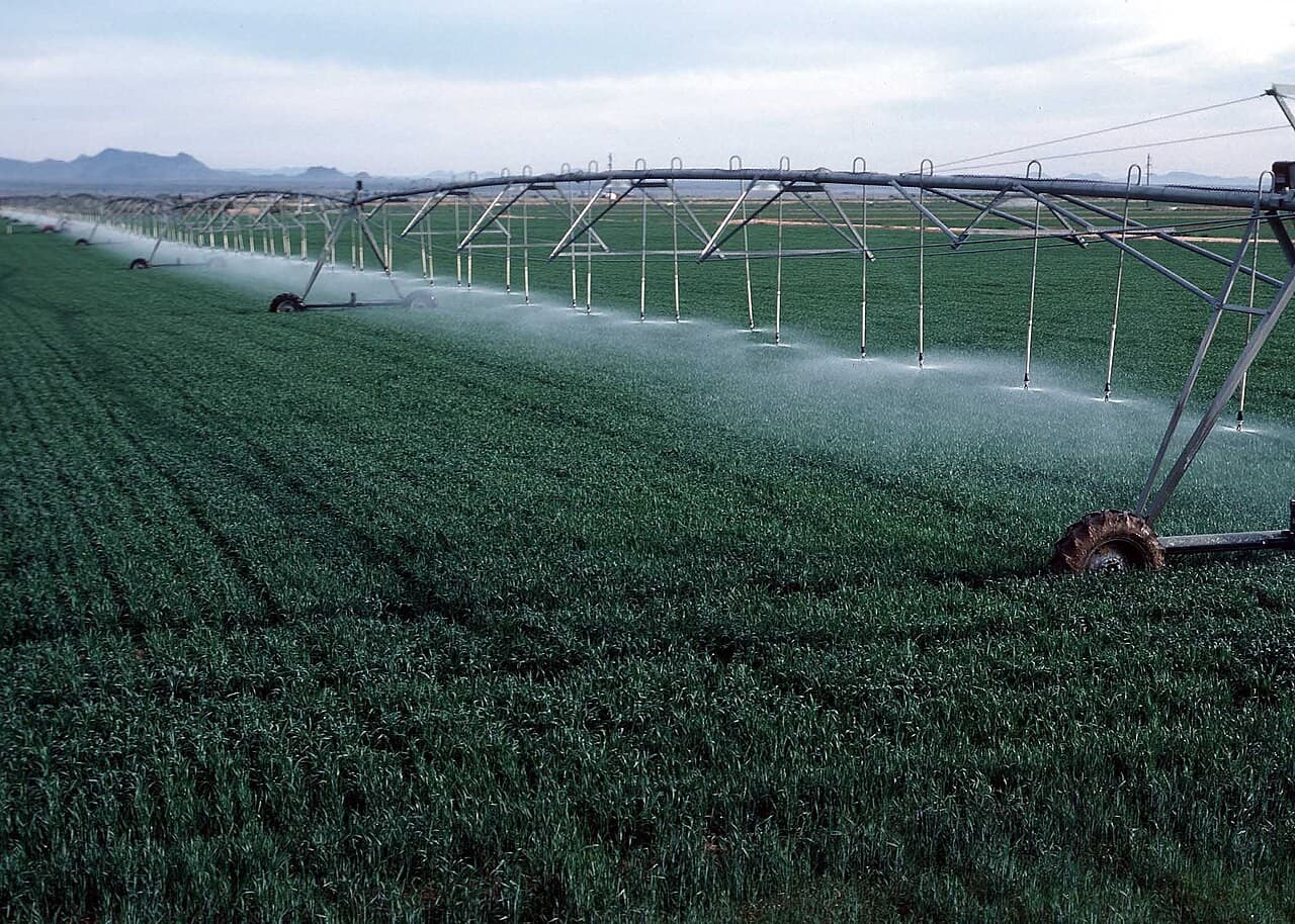 A center-pivot irrigation system spraying water over a large green agricultural field, illustrating Cornell’s agriculture and life sciences programs.